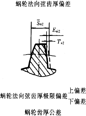 平面二次包絡環面蝸杆傳動精度蝸杆、蝸輪誤差的定義及代号